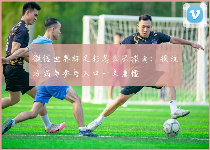 微信世界杯足彩怎么买指南：投注方式与参与入口一文看懂