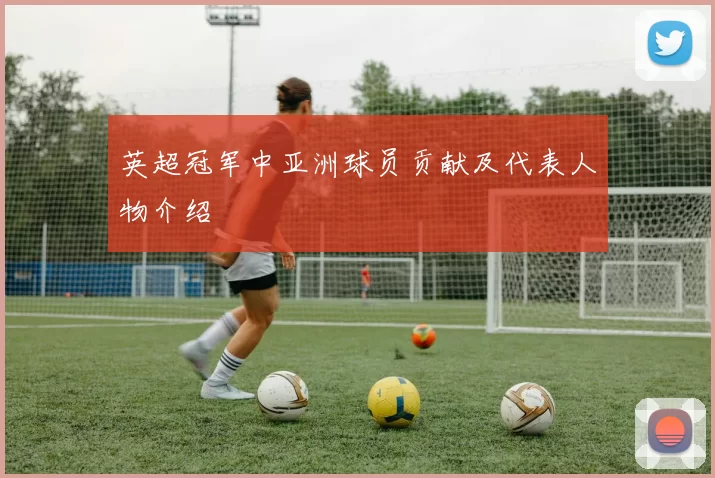 英超冠军中亚洲球员贡献及代表人物介绍