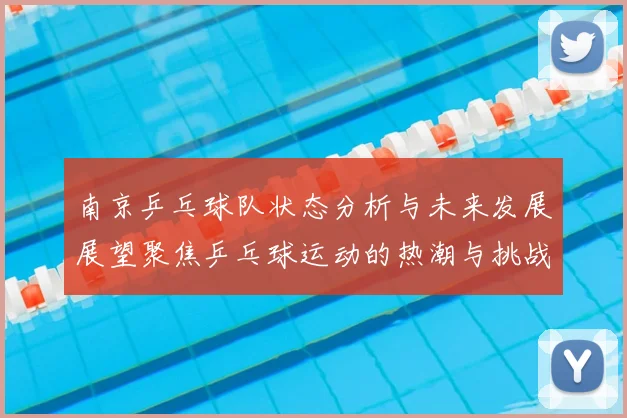 南京乒乓球队状态分析与未来发展展望聚焦乒乓球运动的热潮与挑战