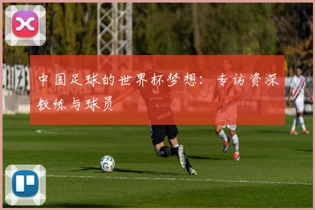 中国足球的世界杯梦想：专访资深教练与球员