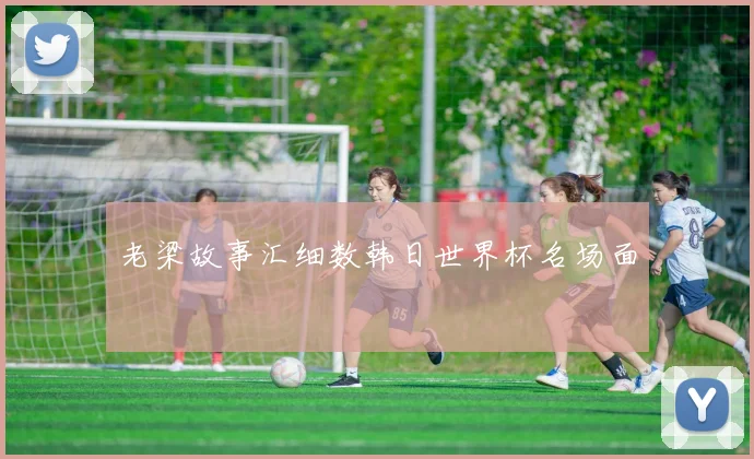 老梁故事汇细数韩日世界杯名场面