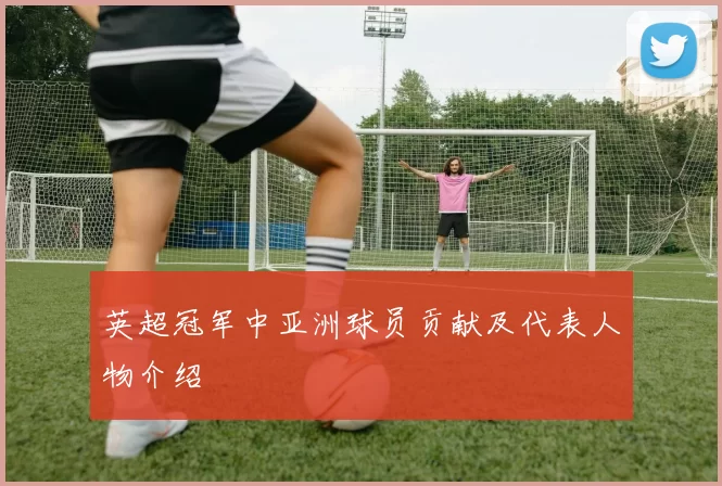 英超冠军中亚洲球员贡献及代表人物介绍