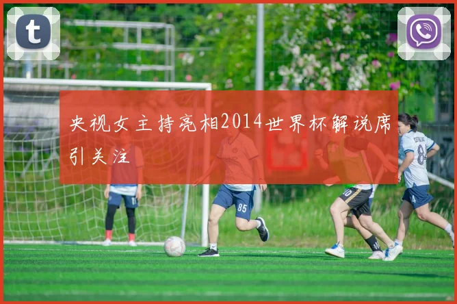 央视女主持亮相2014世界杯解说席引关注