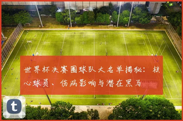 世界杯决赛圈球队大名单揭秘：核心球员、伤病影响与潜在黑马