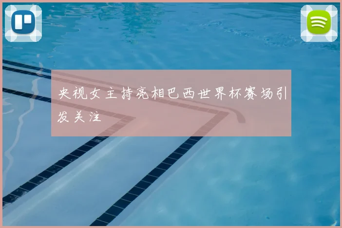 央视女主持亮相巴西世界杯赛场引发关注