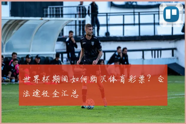 世界杯期间如何购买体育彩票？合法途径全汇总