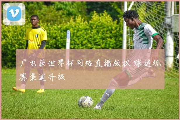 广电获世界杯网络直播版权 球迷观赛渠道升级
