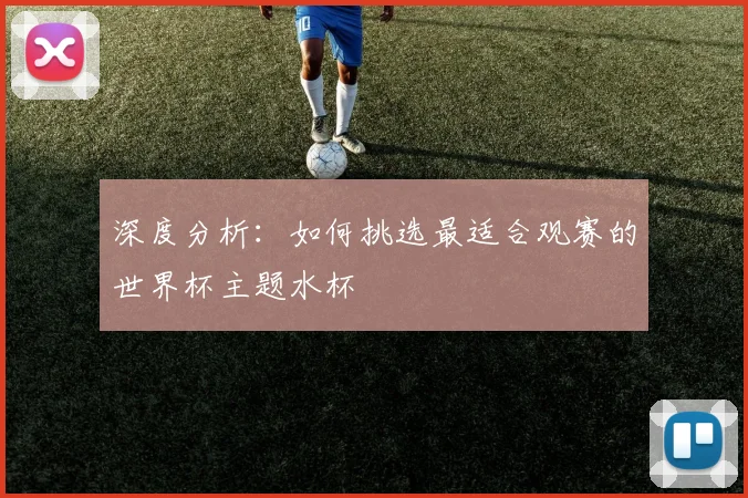 深度分析:如何挑选最适合观赛的世界杯主题水杯