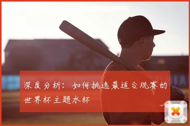 深度分析：如何挑选最适合观赛的世界杯主题水杯