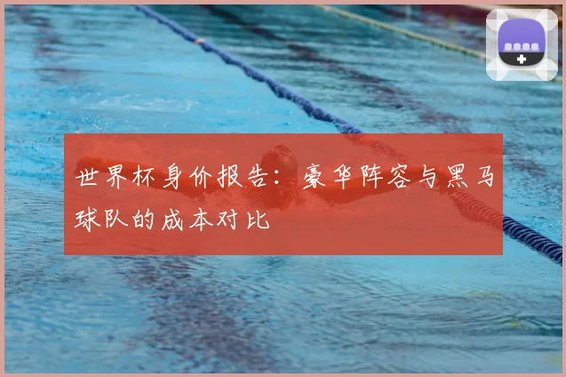 世界杯身价报告：豪华阵容与黑马球队的成本对比