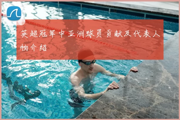 英超冠军中亚洲球员贡献及代表人物介绍