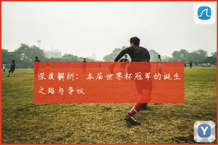 深度解析：本届世界杯冠军的诞生之路与争议