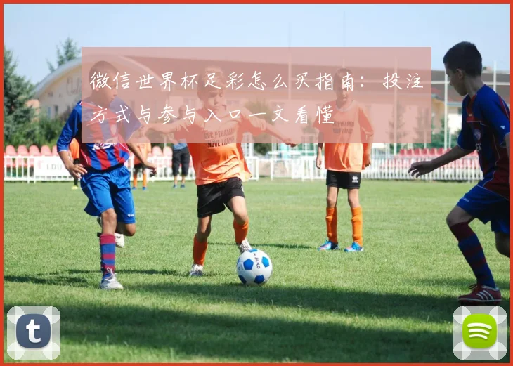 微信世界杯足彩怎么买指南：投注方式与参与入口一文看懂