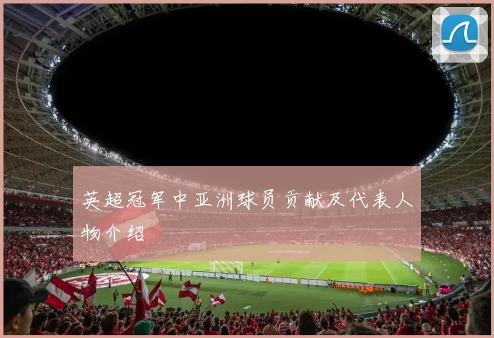 英超冠军中亚洲球员贡献及代表人物介绍