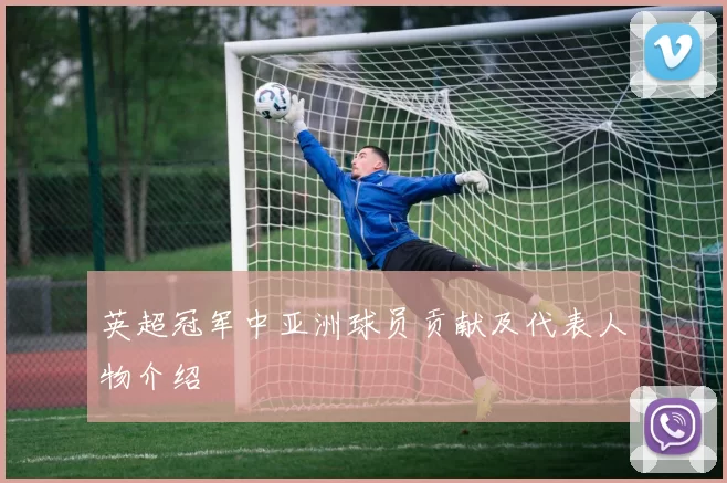 英超冠军中亚洲球员贡献及代表人物介绍