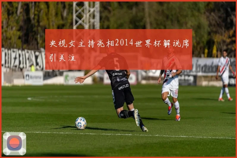 央视女主持亮相2014世界杯解说席引关注