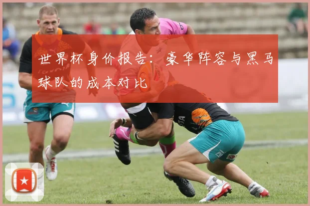 世界杯身价报告：豪华阵容与黑马球队的成本对比