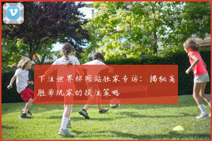 下注世界杯网站独家专访:揭秘高胜率玩家的投注策略